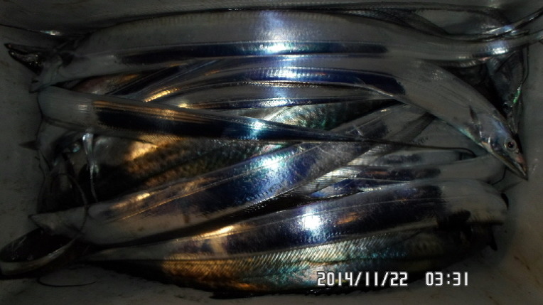 25321339546FDD792919EC