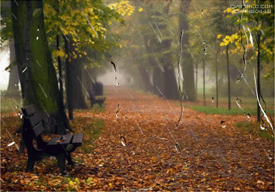 해바라기 노래모음