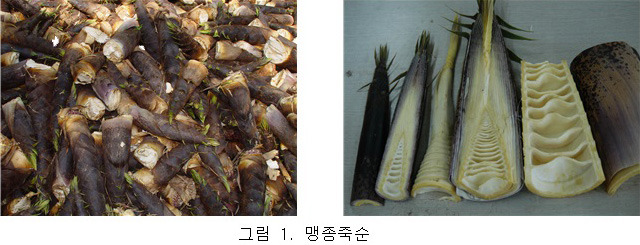 황금먹거리 이미지