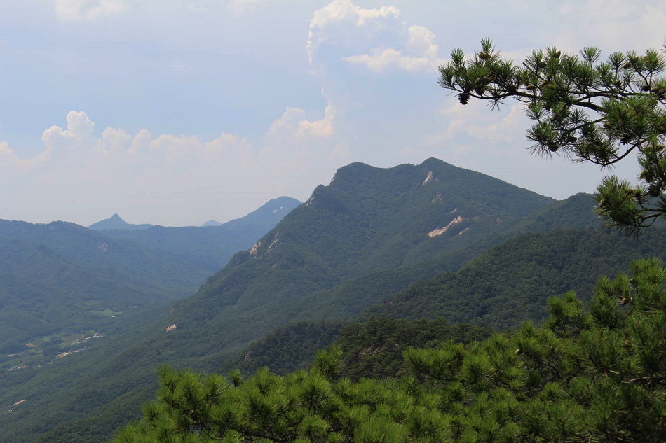 대미산, 포암산 이미지