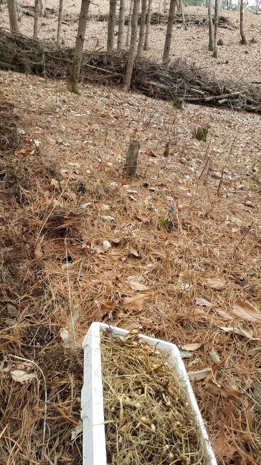 천사농장 이미지