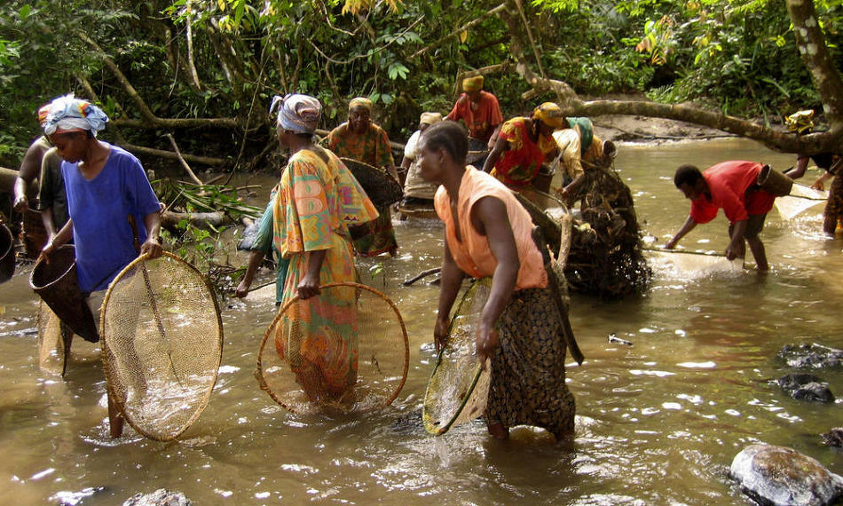 congo-basin-congo