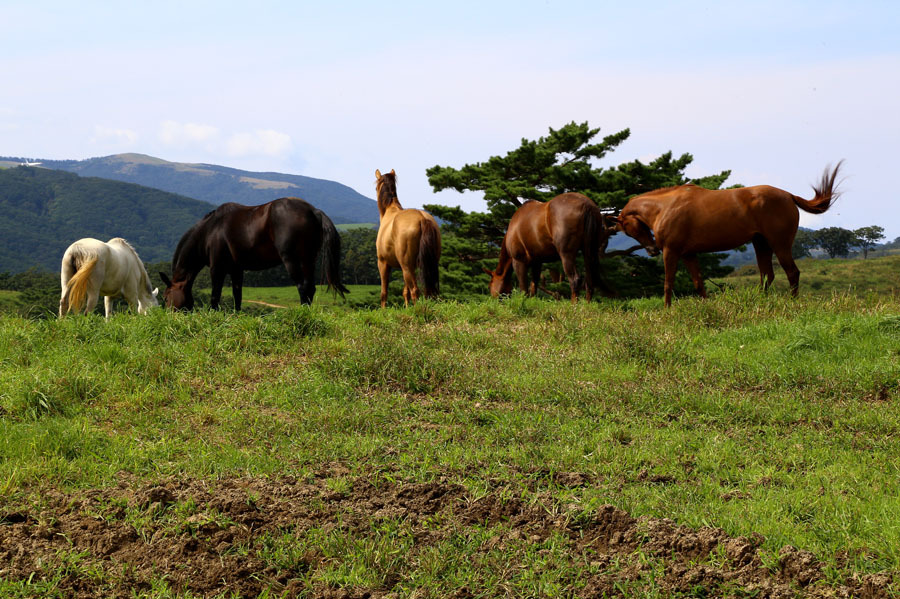 좋은축산마을 이미지