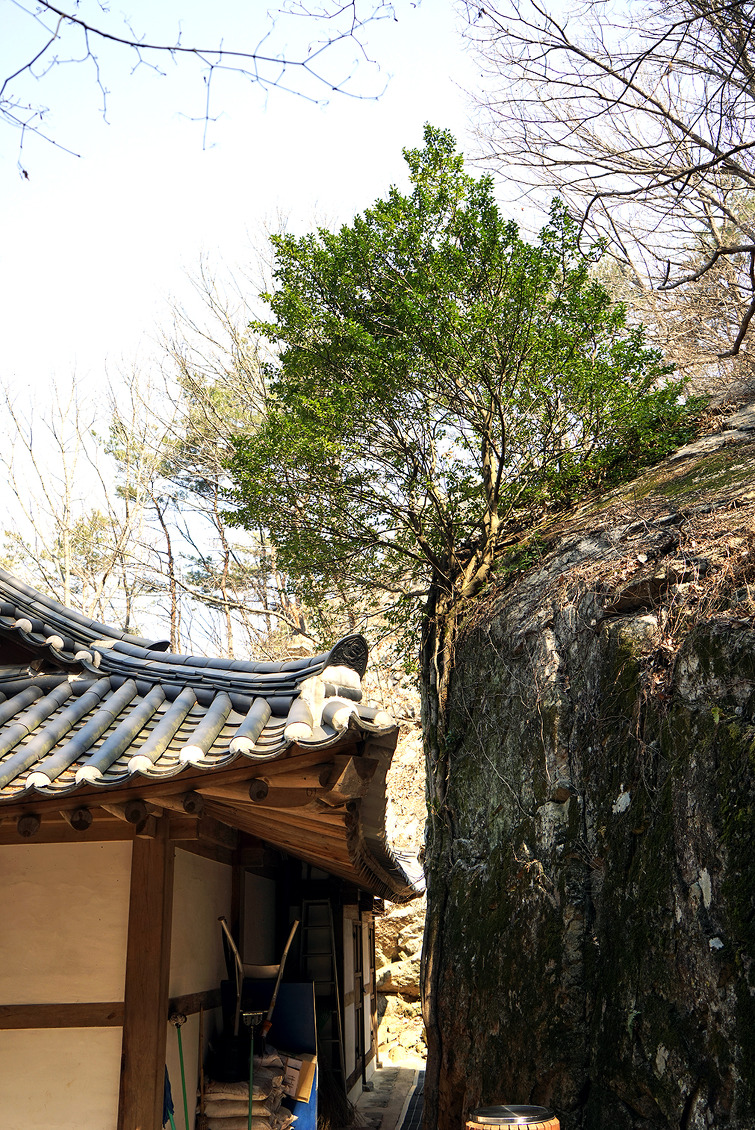 서산 용현리 마애여래삼존상