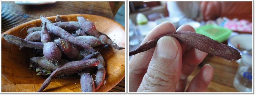 [강릉맛집 경포맛집 경포호근처맛집] 마약 옹심이칼국수 - 우리 민찬이 첫 여행길에 들른 [카페 고등어] 