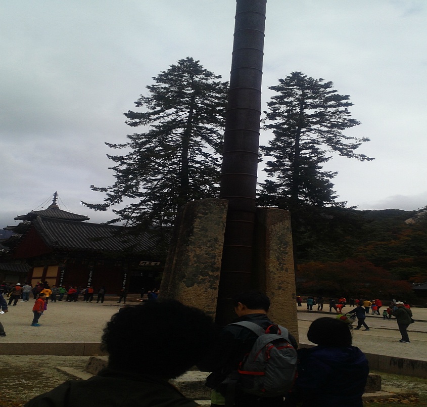 속리산의 단풍
