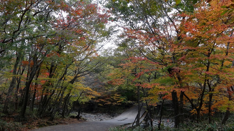 재주도여행 마지막날 제주산 돼지고기로 마무리한다