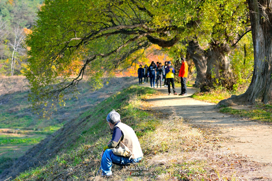 마음이 머물러 길이되다(DAY 121)-경산 반곡지 가을