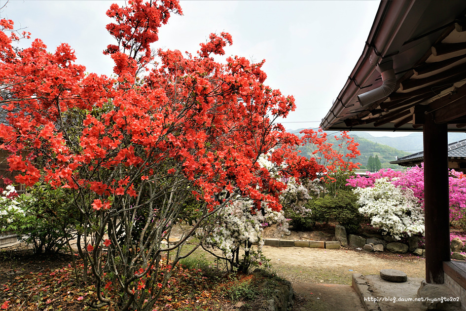 제125주년 동학농민혁명 백산봉기대회 이미지