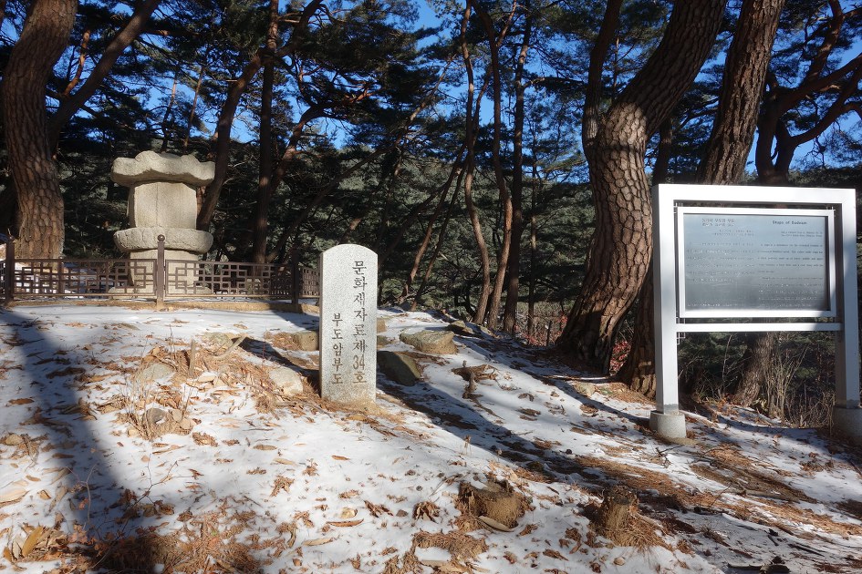 팔공산 겨울조망 산행