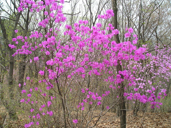 더 많이 칭찬할수록 더 많이 칭찬을 받는다