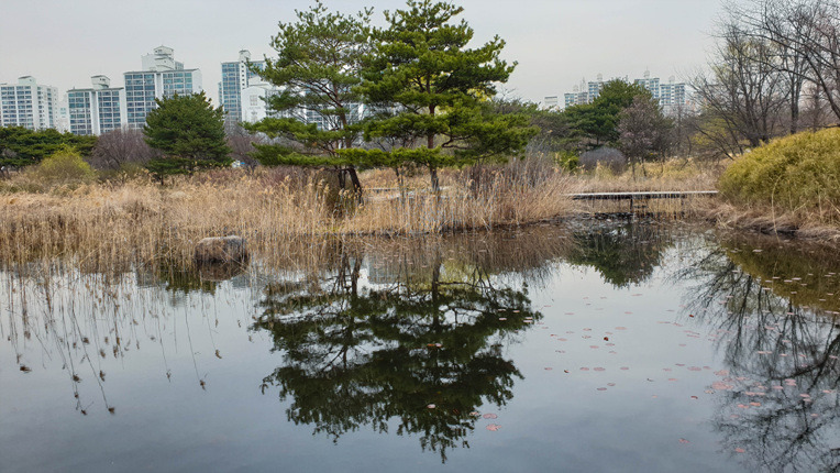 일산호수공원의봄