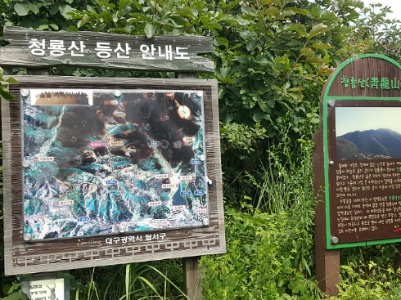 대구 시민의 휴식처 앞산올랐다가 택시타고 온 사연은? 