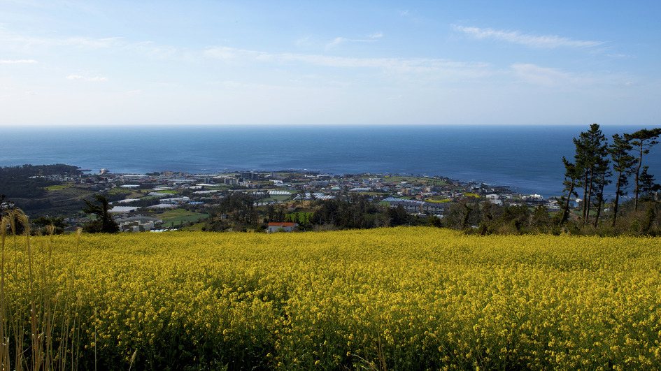 제주 군산