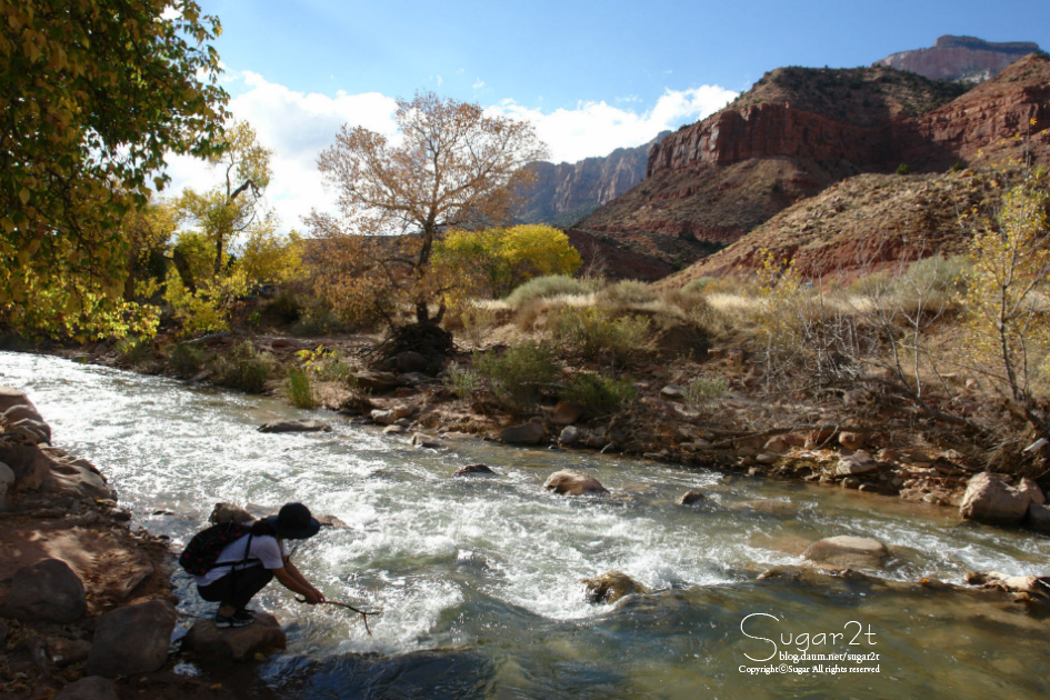 [그랜드 서클]자이언 캐년(Zion Canyon)