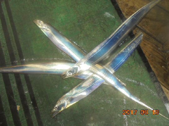 9944EC335997A21C177356