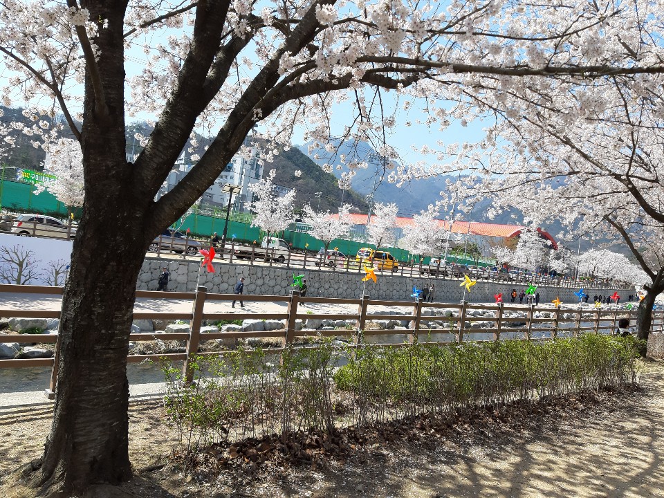 ''오셨군요 봄님''