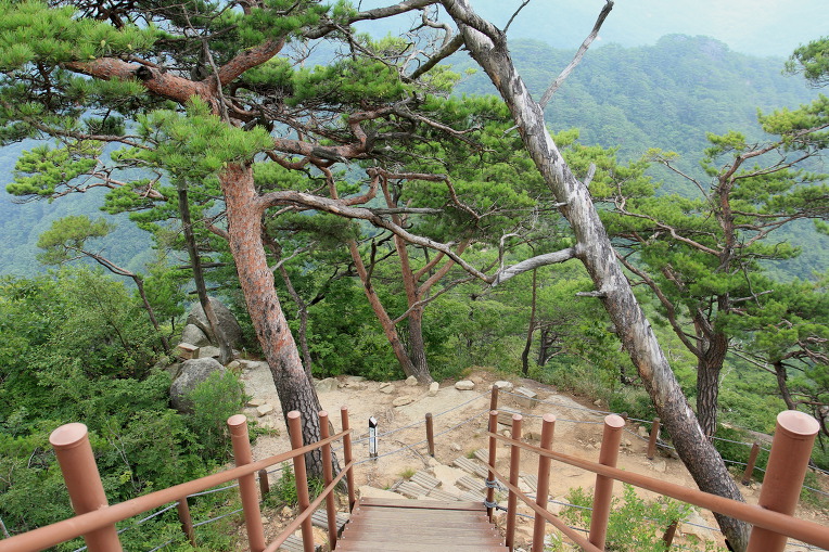 * 괴산 칠보산, 쌍곡계곡 산행기