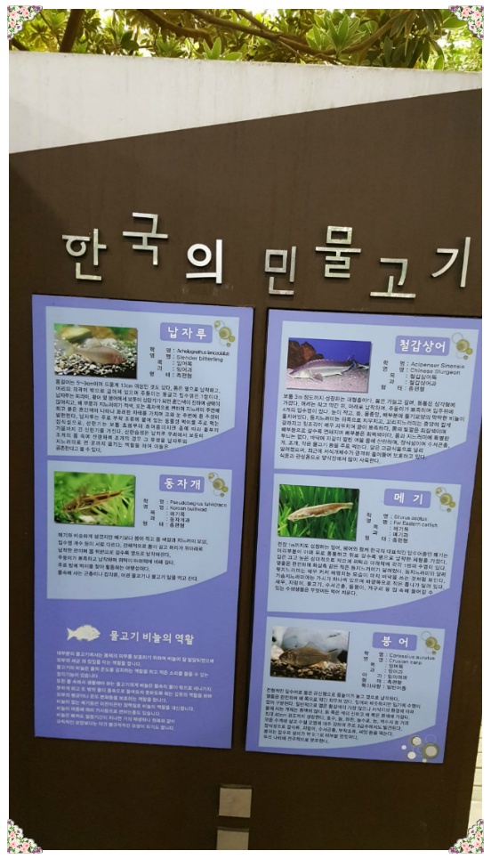봄 나들이 다녀오다..[응봉산과 서울숲]