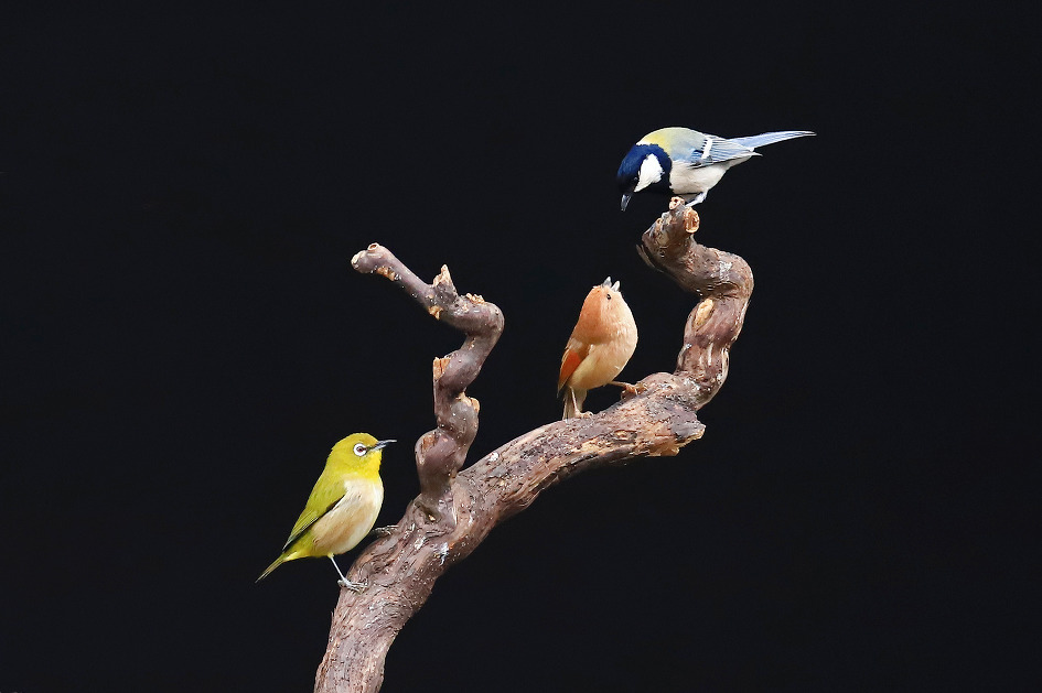 대화 (2019.03.06.수)