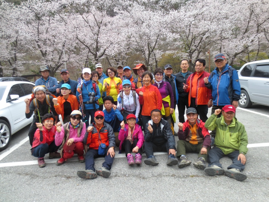 진안 마이산(암마이봉) 벚꽃산행 / 20180413(금)