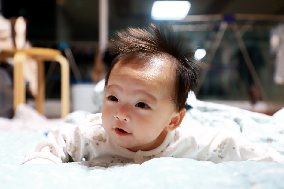 엎드리기 배우기 (2019.02.25.월)