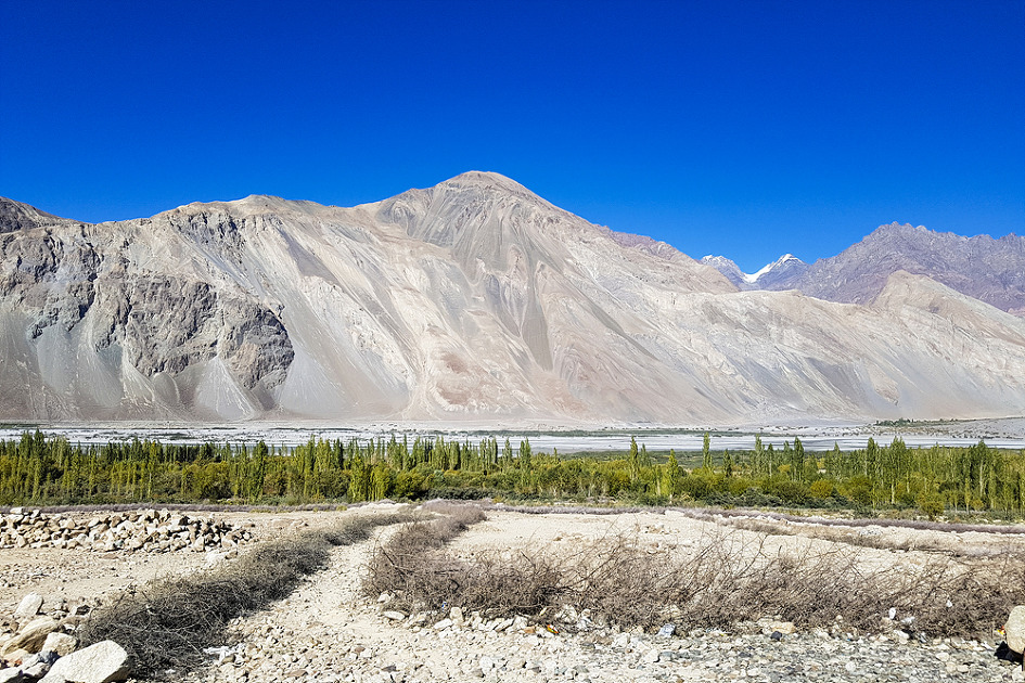 무엇이 날 부르는가? 신들 에게 버려진 땅 라다크.(투루둑마을)#3