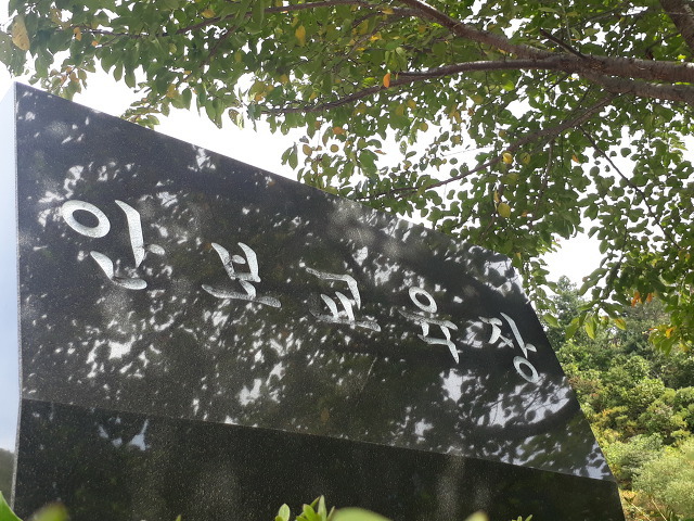 꿈의동산 이미지