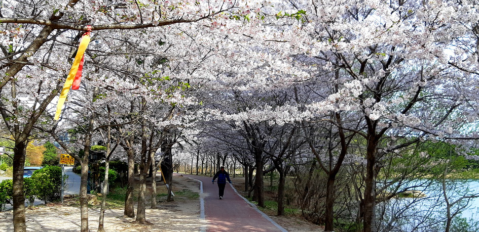오랜만에 딸네 집으로 마실을 갔습니다.