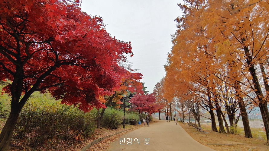 올림픽공원의 가을색