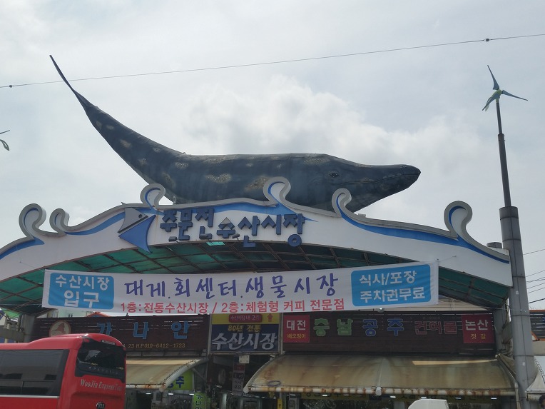 경포물회 이미지