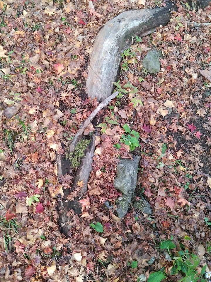 각자자신들의 이익을 추구하는 삶 