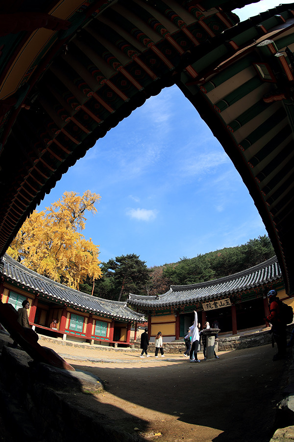 [사적 제154호  경주 옥산서원] DPAK(한국디지털사진가협회) 경북지부 회원들과 옥산서원으로 가다 / 토함