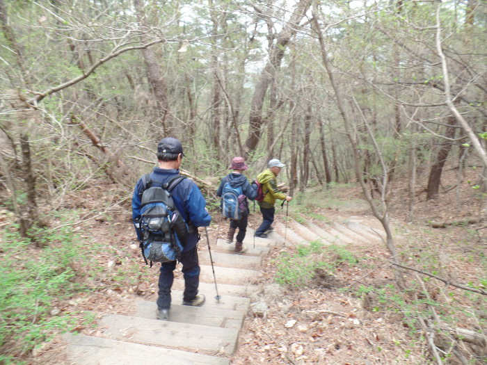 1045- 慶州 南山 고위봉(高位峯:494m)을 다녀왔어요.
