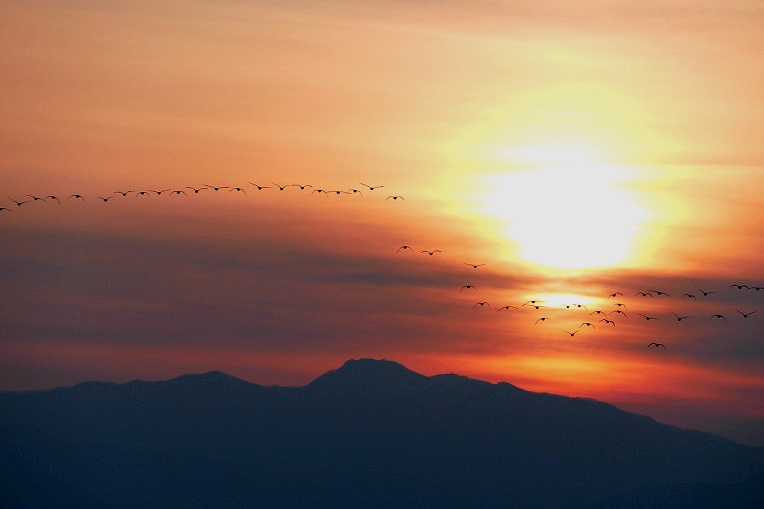 998847405DF4F4AA291949