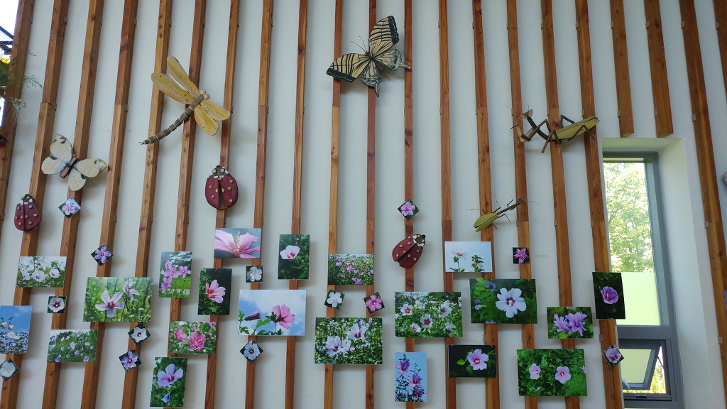 대전 한밭수목원-동원