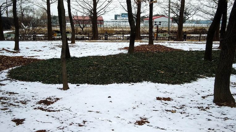 눈내린 일산호수공원