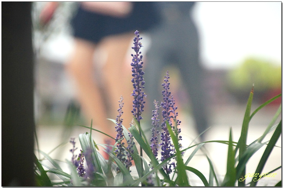 웬 사찰에 모세의 기적이? / 간월암의 풍경