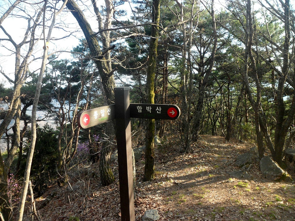 창녕 영취산 2019-03-31