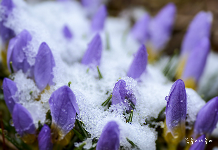 마음에도 씨가 있습니다. 