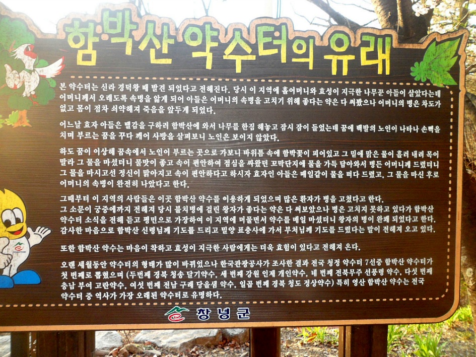 창녕 영취산 2019-03-31