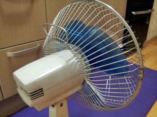 금성판매점 이미지