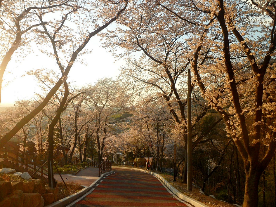 창녕 영취산 2019-03-31