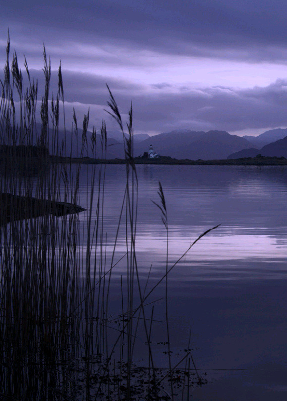 후레자식/김인육