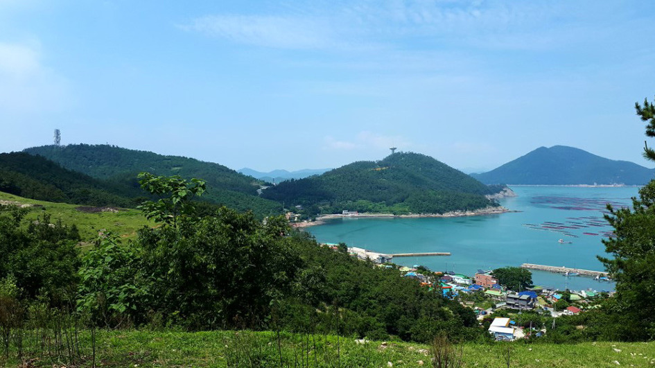 본낭 이미지
