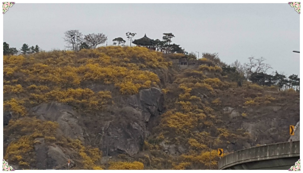 봄 나들이 다녀오다..[응봉산과 서울숲]