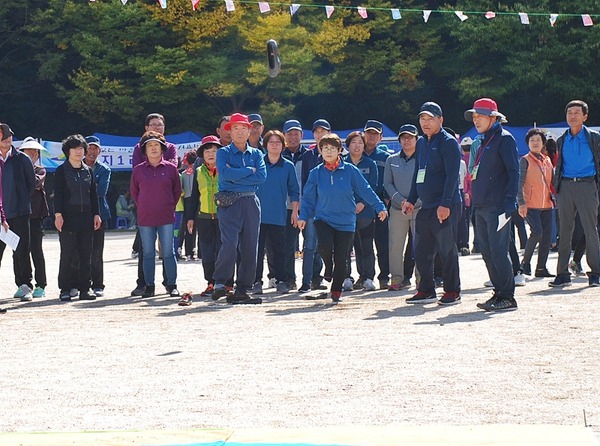 면민 체육대회 2