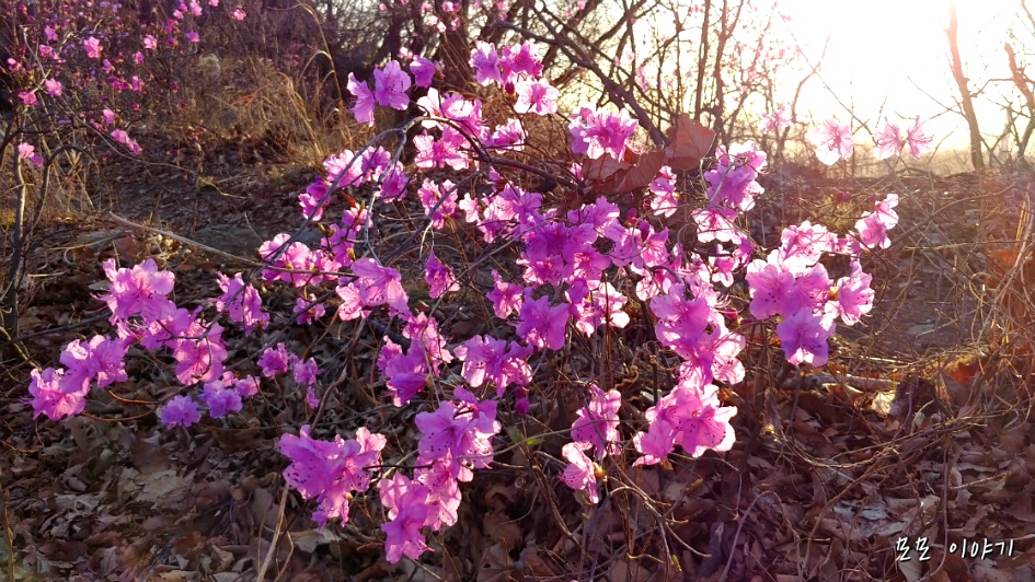 광명알프스-도덕산,구름산,가학산,서독산.