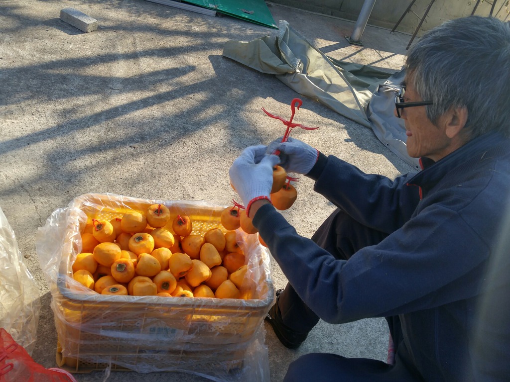 우렁각시의 솜씨